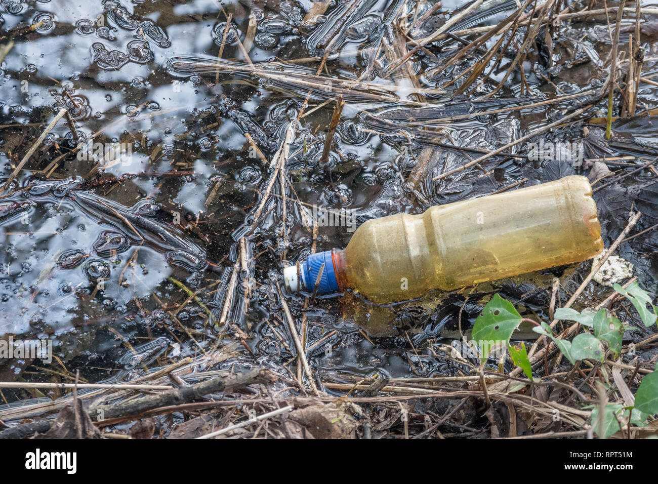 Rifiuti plastici in campagna. Concetto di plastica del Regno Unito dell'inquinamento. Foto Stock