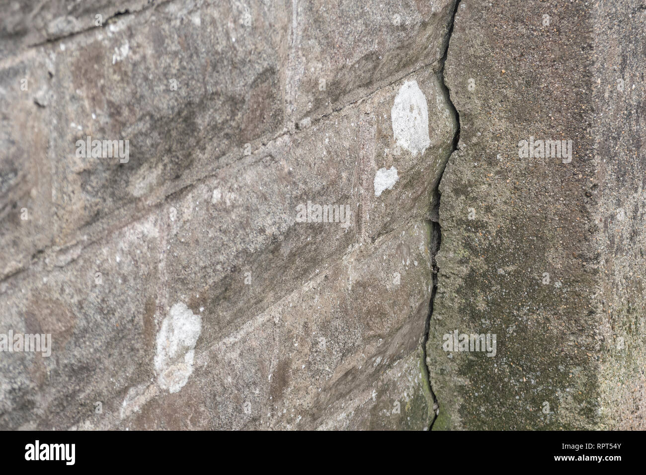 Parete incrinata. Metafora piccola intercapedine, chiudere gap, infrastrutture fatiscenti, Anomalia linea. Foto Stock