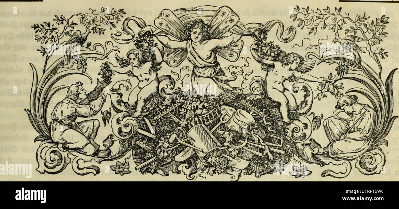 . Allgemeine Gartenzeitung. J!?47. Sonnabenb, ben 24. 9?ot?em&amp;CE 1855. xxm. Stimm.. Si prega di notare che queste immagini vengono estratte dalla pagina sottoposta a scansione di immagini che possono essere state migliorate digitalmente per la leggibilità - Colorazione e aspetto di queste illustrazioni potrebbero non perfettamente assomigliano al lavoro originale. Berlino, Nauck'sche Buchhandlung Foto Stock