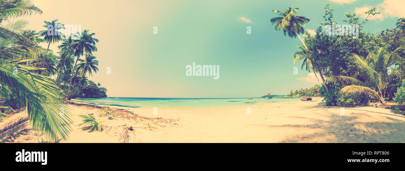 Un fantastico panorama di sabbia spiaggia tropicale con silhouette di palme da cocco albero nel mare cristallino acqua su sfondo paesaggio natura Foto Stock