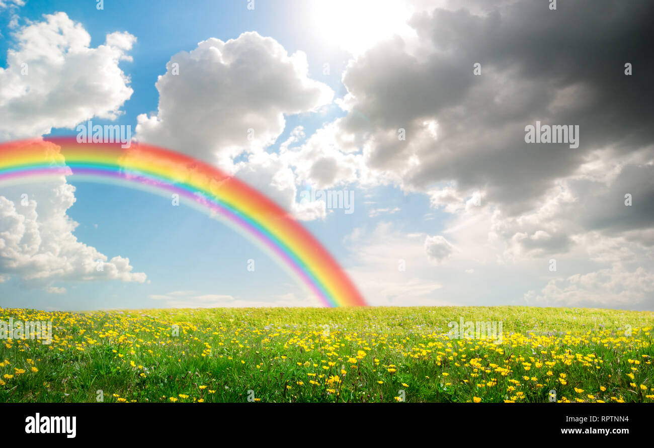 Campo primaverile paesaggio con fiori e rainbow Foto Stock