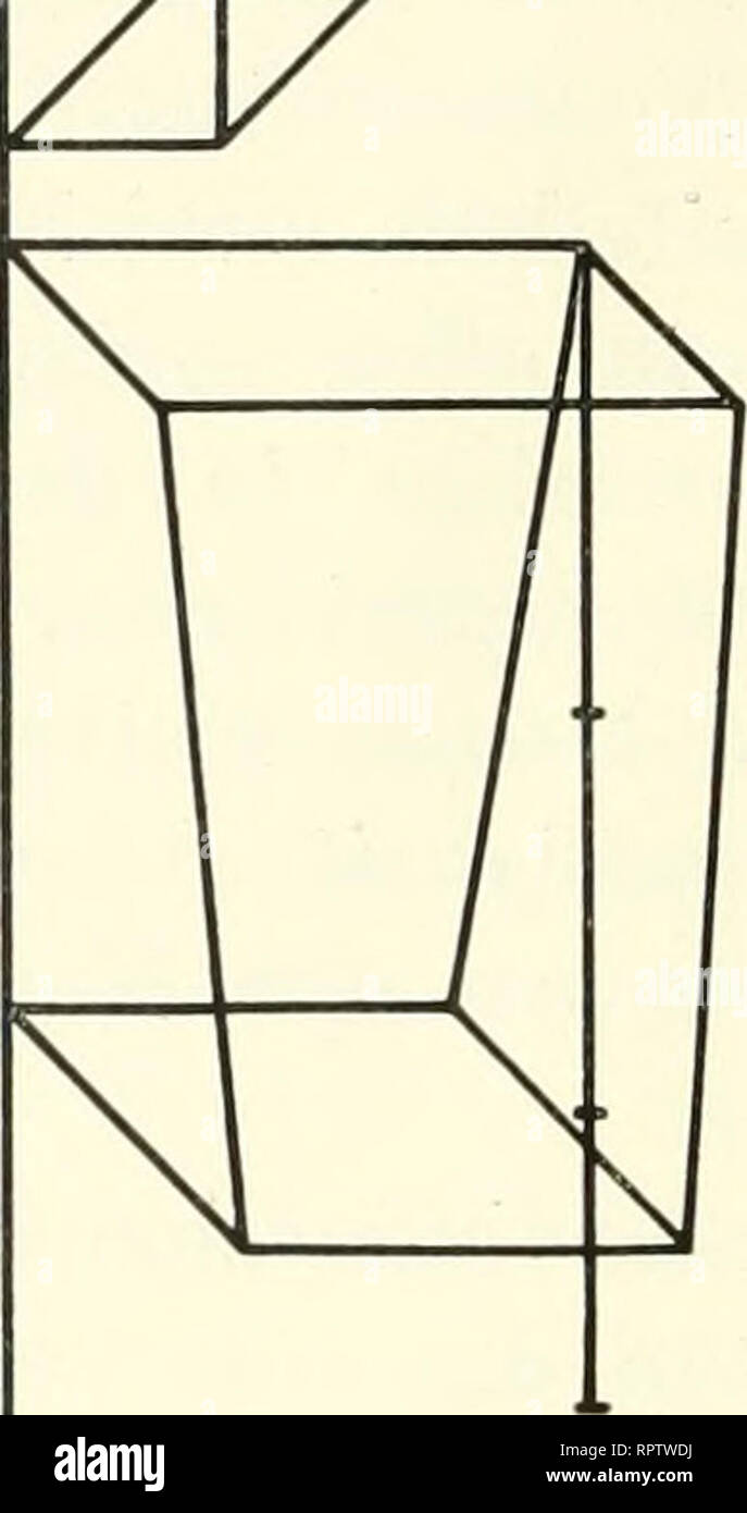 . Allgemeine und spezielle Physiologie des Menschenwachstums, für Anthropologen, Physiologen, Anatomen und Ärzte dargestellt. La crescita. 144 Das Längenwachstum des Menschen u. die Gliederung des menschl. Körpers. graphien von Fritscli. Wir sehen keine Unterlänge der Glieder bei der Akkazwergin oder bei der Javanin. die Beckengegend stärker ist entwickelt bei der Akkazwergin, ebenso die Kopfmaße. Die Javanin gehört trotz ihrer Kleinheit zu den durchaus wohl- proportionierten Menschen ohne großen Kopf und langen Rumpf mit kurzen Gliedern, wie es für kleine Menschen charakteristisch sein soll. Die E Foto Stock