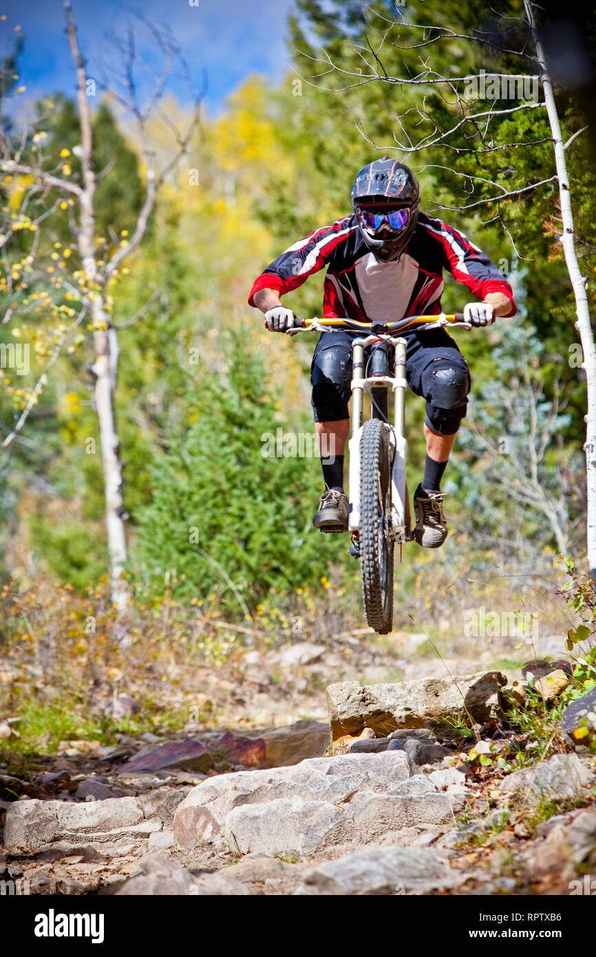 In discesa in mountain bike Foto Stock