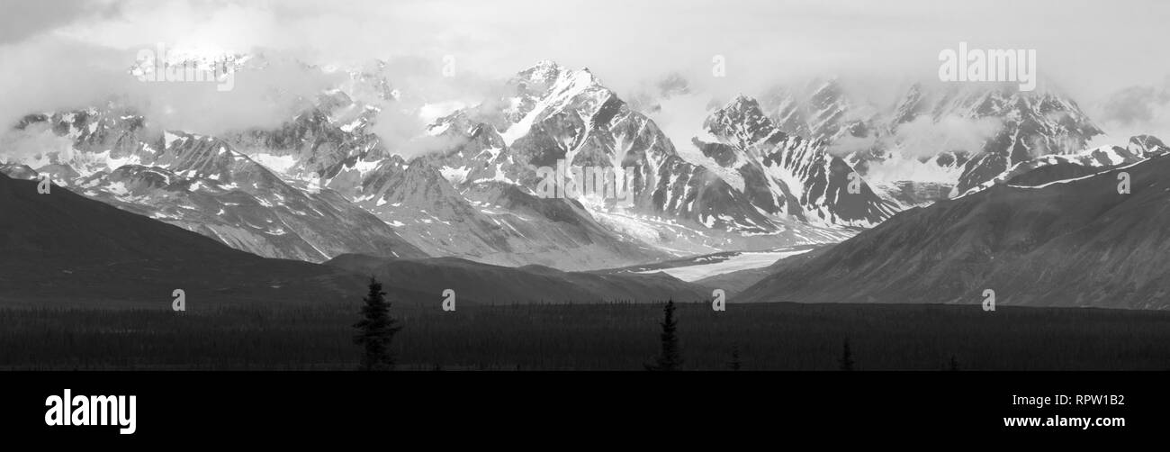In bianco e nero la gamma della montagna oltre l'autostrada di Denali in Alaska Foto Stock