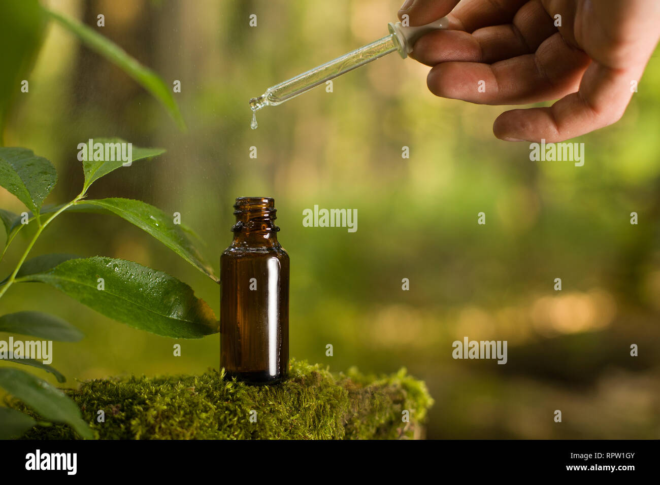 Rimedi naturali, aromaterapia - Pipettare & bottiglia. Organici di medicina alternativa, bottiglie ambrate. Foto Stock