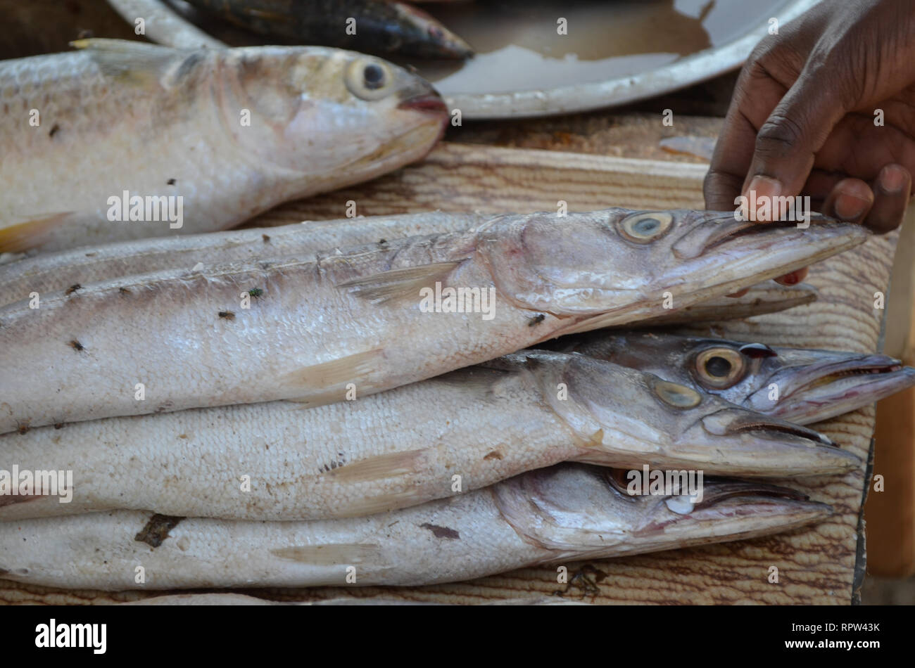 Il pesce in vendita nelle bancarelle di Mbour mercato del pesce, Senegal  Foto stock - Alamy