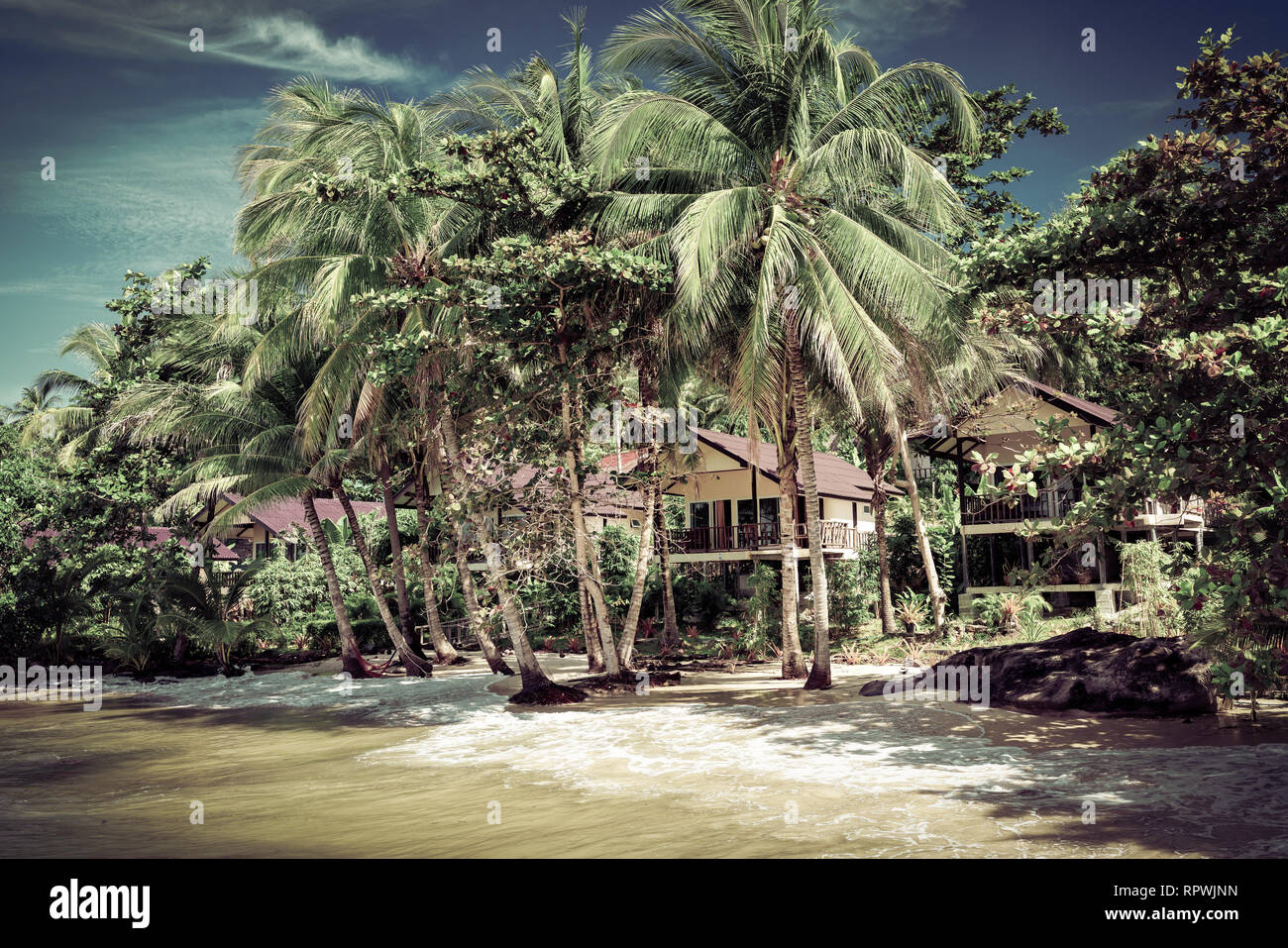 Incontaminata spiaggia tropicale in Sri Lanka Foto Stock
