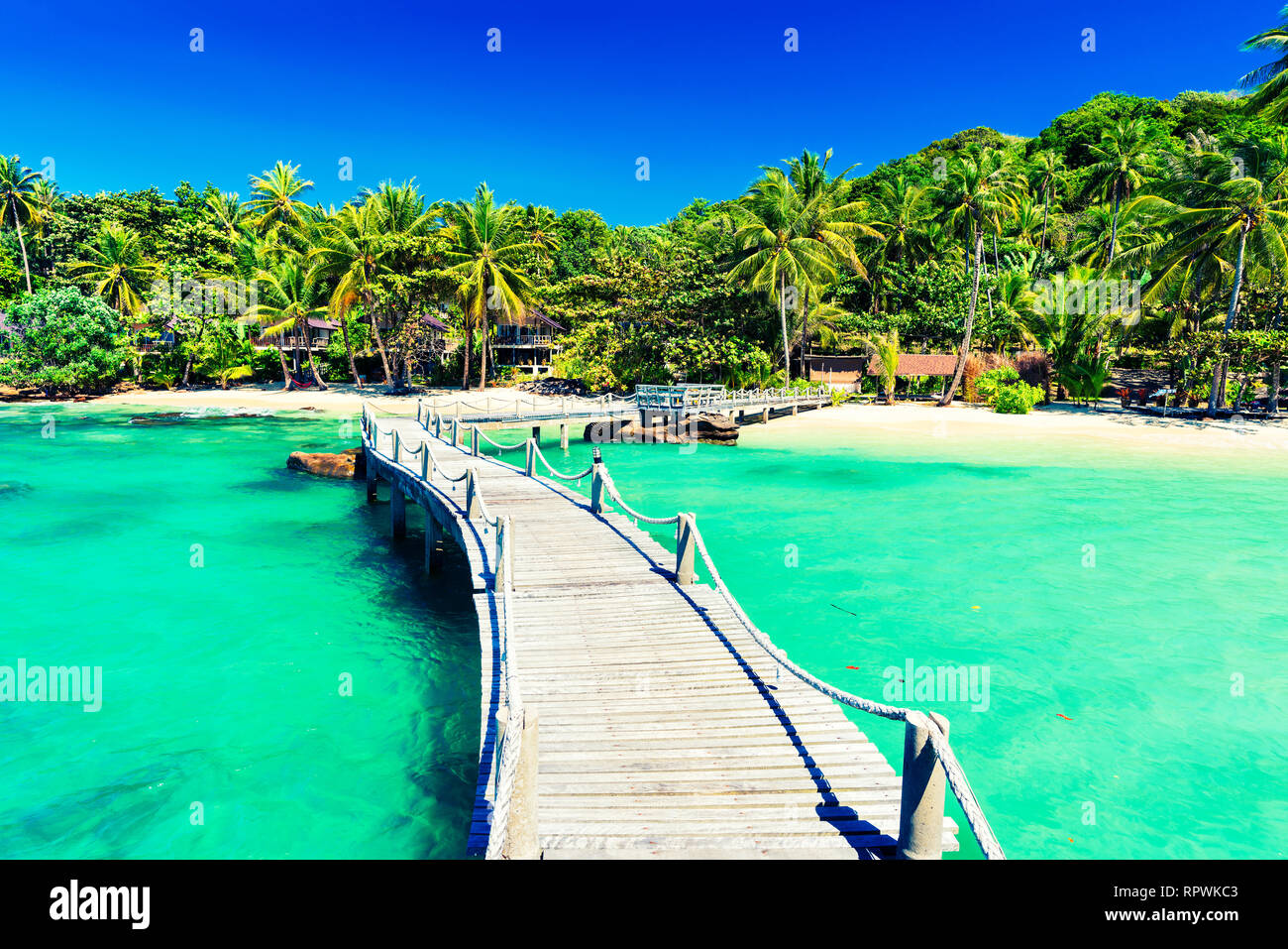 La natura del paesaggio spiaggia tropicale con paesaggio di palme da cocco tree e cristalline acque del mare sullo sfondo azzurro del cielo Foto Stock