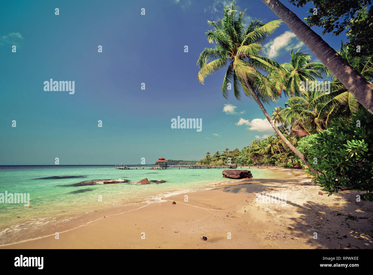 La natura del paesaggio spiaggia tropicale della Thailandia con paesaggio palm tree, mare cristallino acqua a giornata di sole Foto Stock