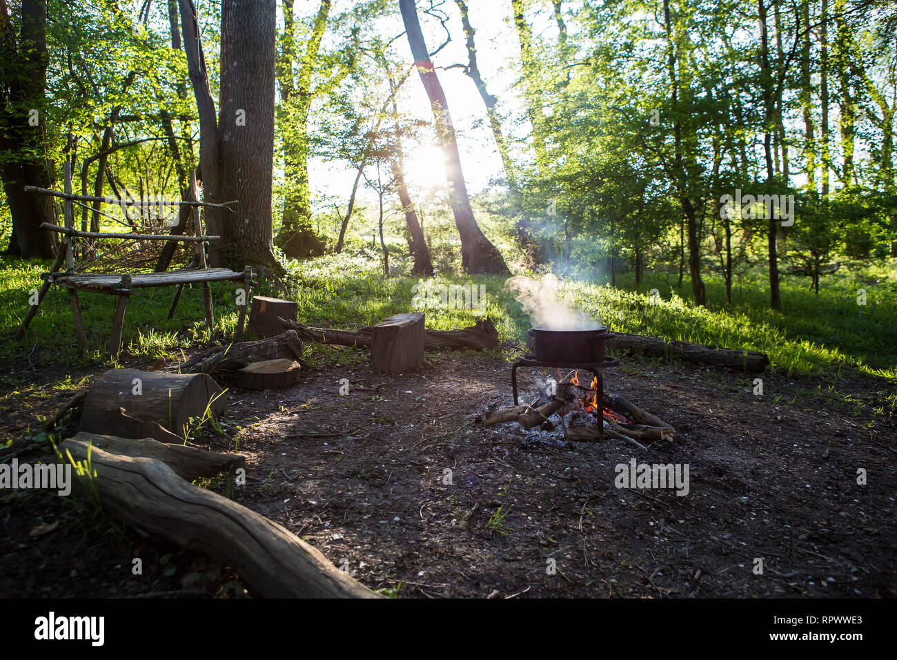 Per la cottura su un fuoco in un bosco in Kent, Regno Unito Foto Stock