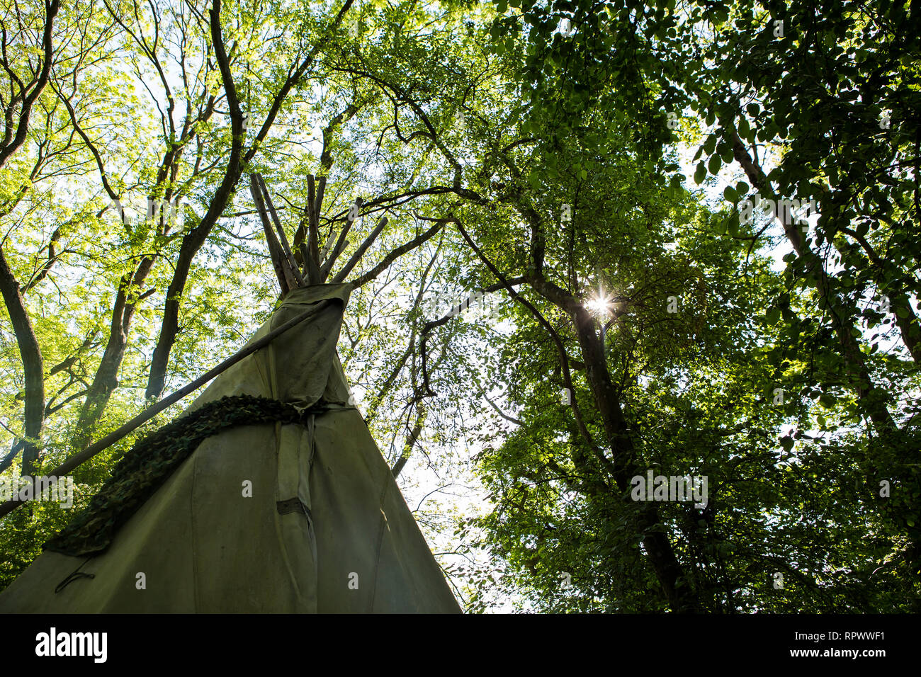 Tende tepee nel bosco di primavera, Kent, Regno Unito Foto Stock