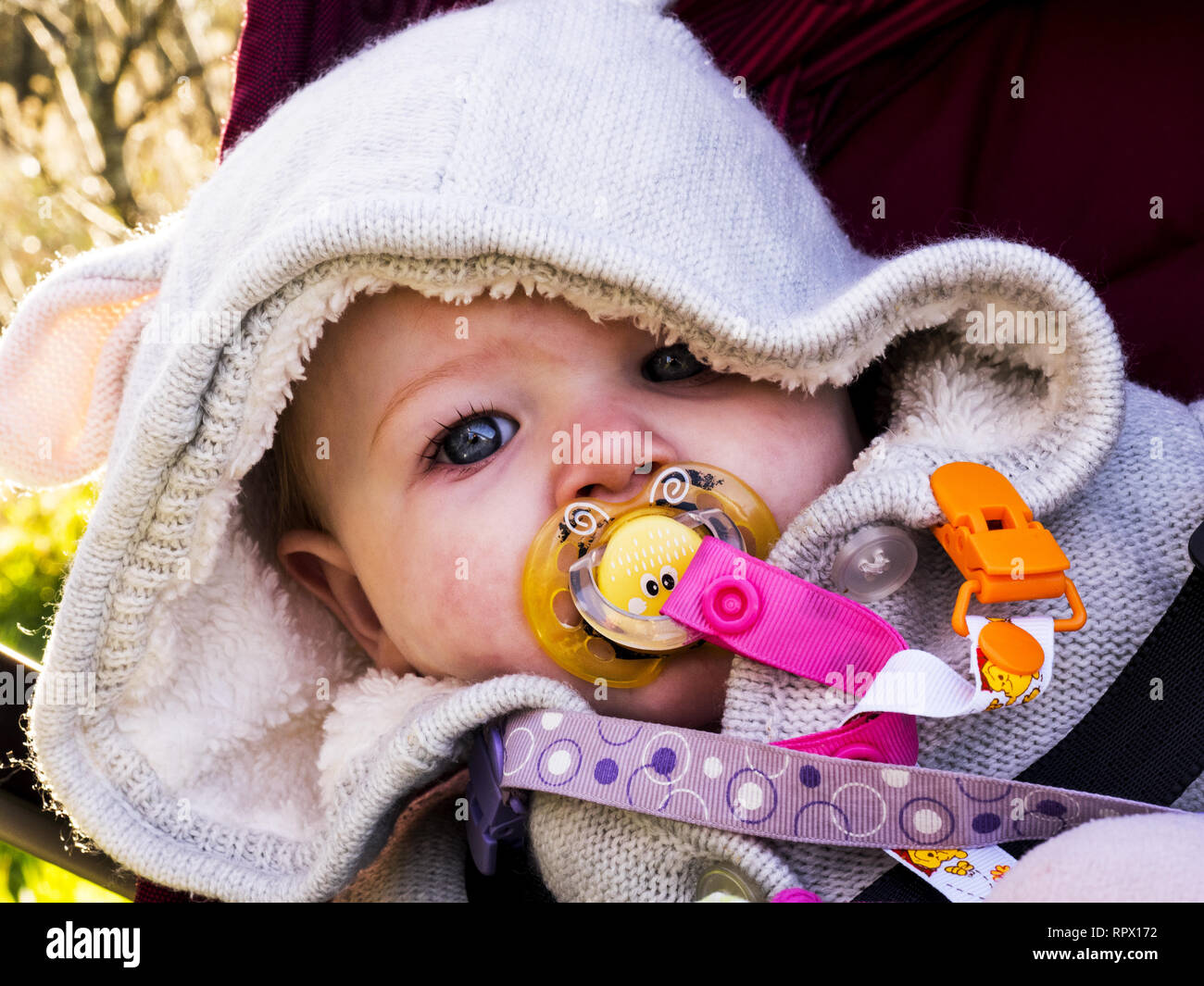 Baby con fantoccio, REGNO UNITO Foto Stock