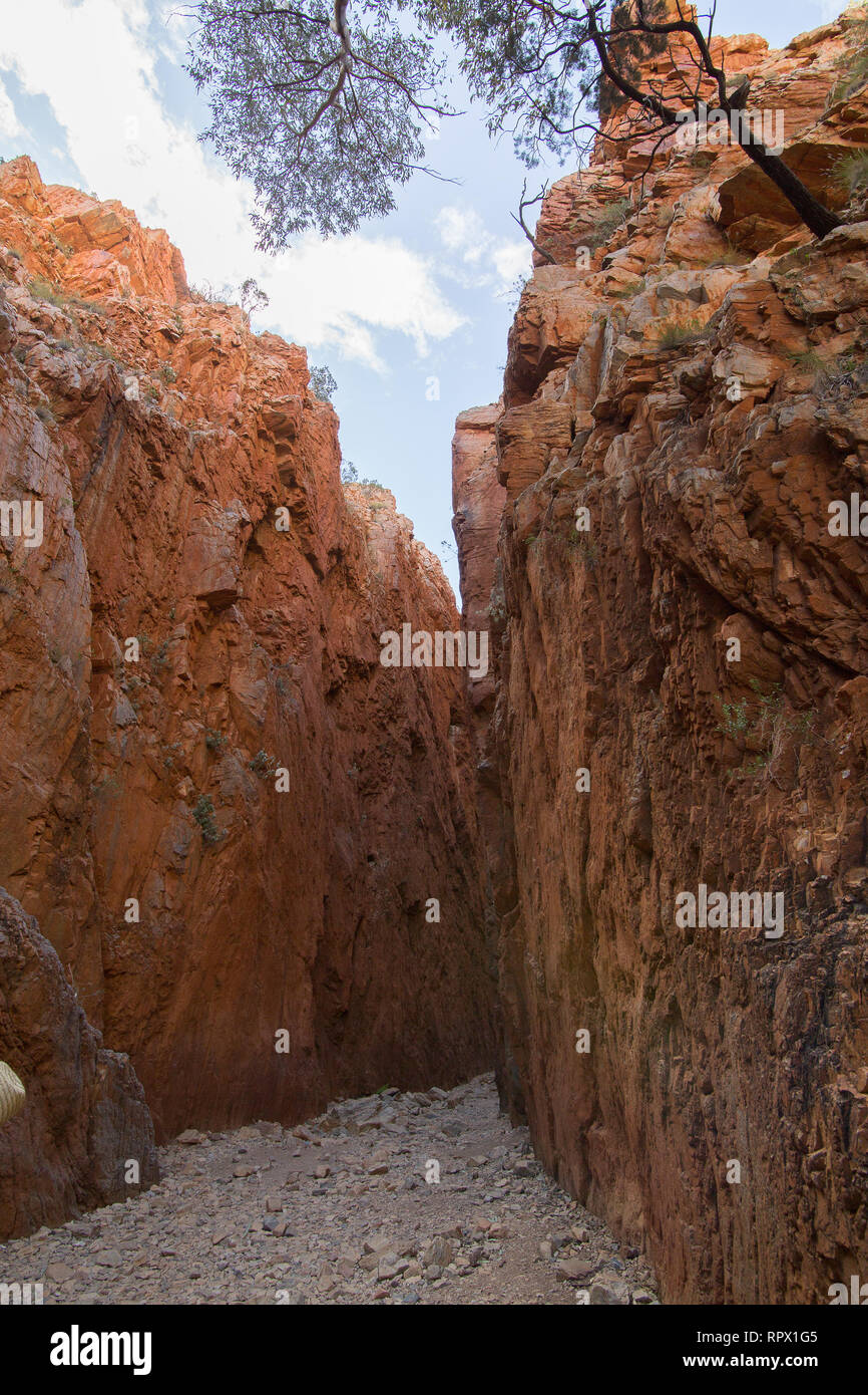 Standley Chasm Angkerle Atwatye è considerata come un 'must vedere' geologiche spettacolari e significativa icona culturale dell'Australia Centrale. Foto Stock