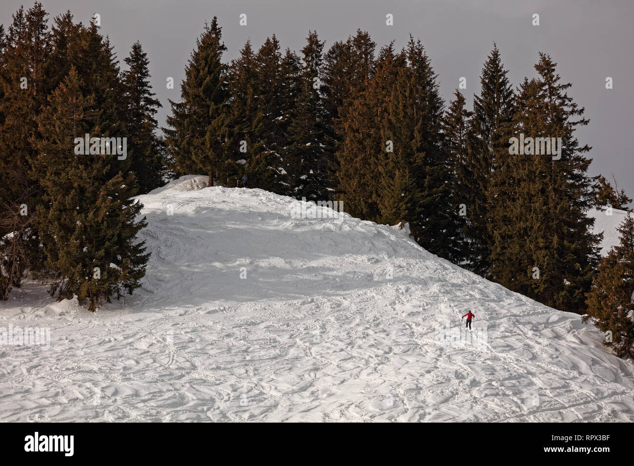 Ski tourer avvicinando il vertice di Schöner Mann/Schoener Mann vicino Hinterbergalpe - Vorarlberg Austria Foto Stock