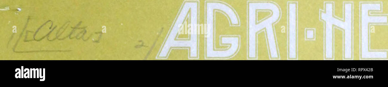 . Agri-news. L'agricoltura. V i noi Maggio 10, 1976 PER IL RILASCIO IMMEDIATO 4j canadese pubblicazioni ufficiali collezione questa settimana tutto Alberta i produttori lattieri deve Cut-back 11 per cento 1 frumento Streak mosaico nei pressi di Ft. McLeod 4 Estate Farm programma Occupazione 6 correzione al Roundup (glifosato) canadese bovini prospettive prezzo 9 Hog Outlook 11 requisiti di energia dopo il parto 13 erba tetania malattia 15 Caseificio regionale specialisti nominata caseificio 17 appuntamenti DIVISIONE 18 Telefono (403) 427-2127 /dlberra agricoltura comunicazioni. Si prega di notare che queste immagini vengono estratte dalla pagina sottoposta a scansione immagini che ma Foto Stock