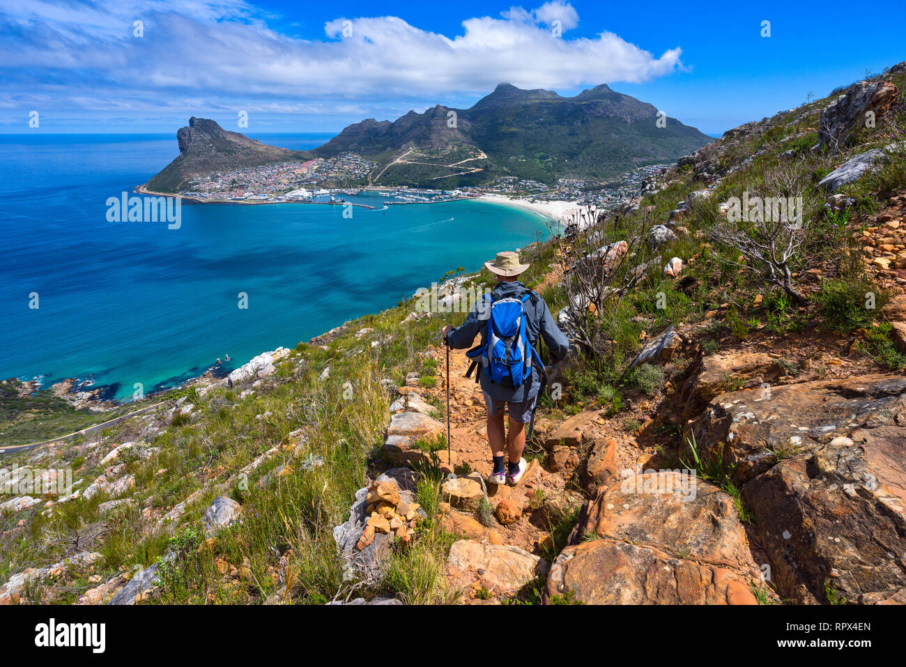 L'uomo escursionismo verso Hout Bay, Città del Capo, Western Cape, Sud Africa Foto Stock
