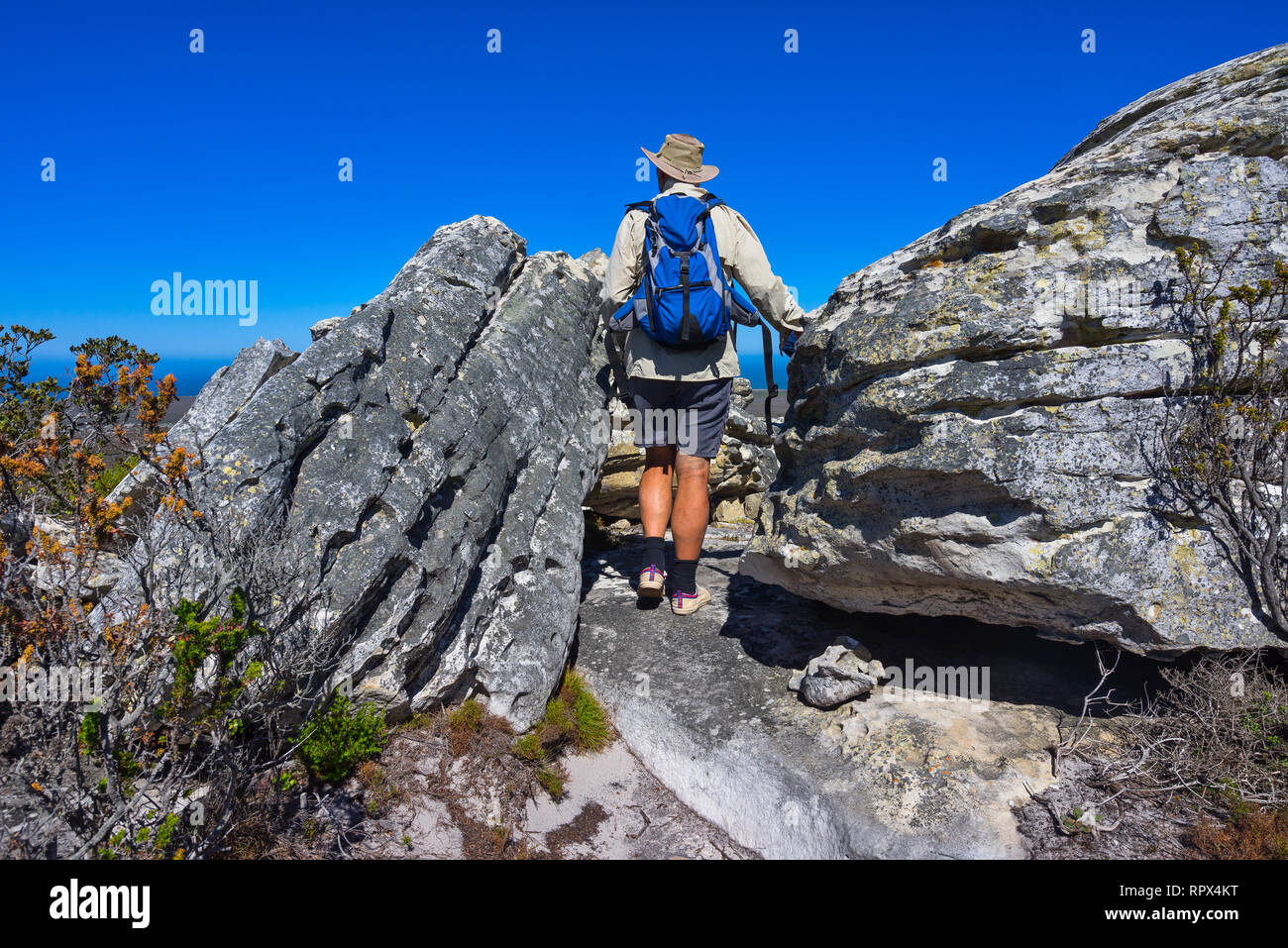 L'uomo escursionismo sul Capo di Buona Speranza Sentiero escursionistico, Western Cape, Sud Africa Foto Stock