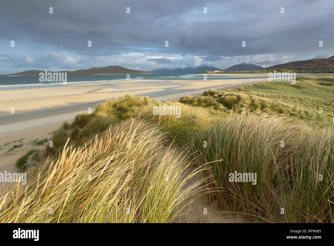 Una mattina di vento sulle dune a Seilebost, Isle of Harris, Ebridi Esterne, Scozia Foto Stock