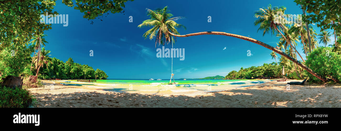 Palm e spiaggia tropicale Foto Stock