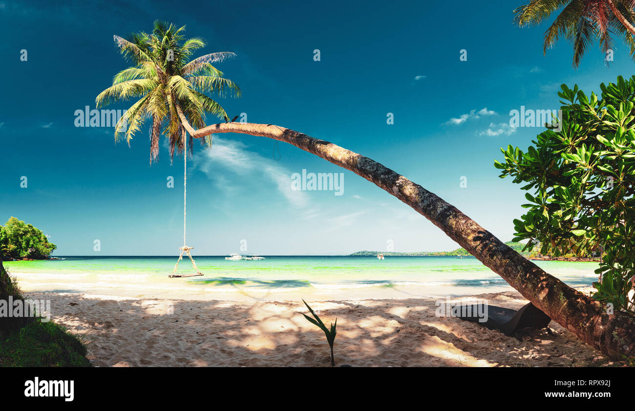 La natura del paesaggio spiaggia tropicale con paesaggio di palme da cocco tree e cristalline acque del mare sullo sfondo azzurro del cielo Foto Stock