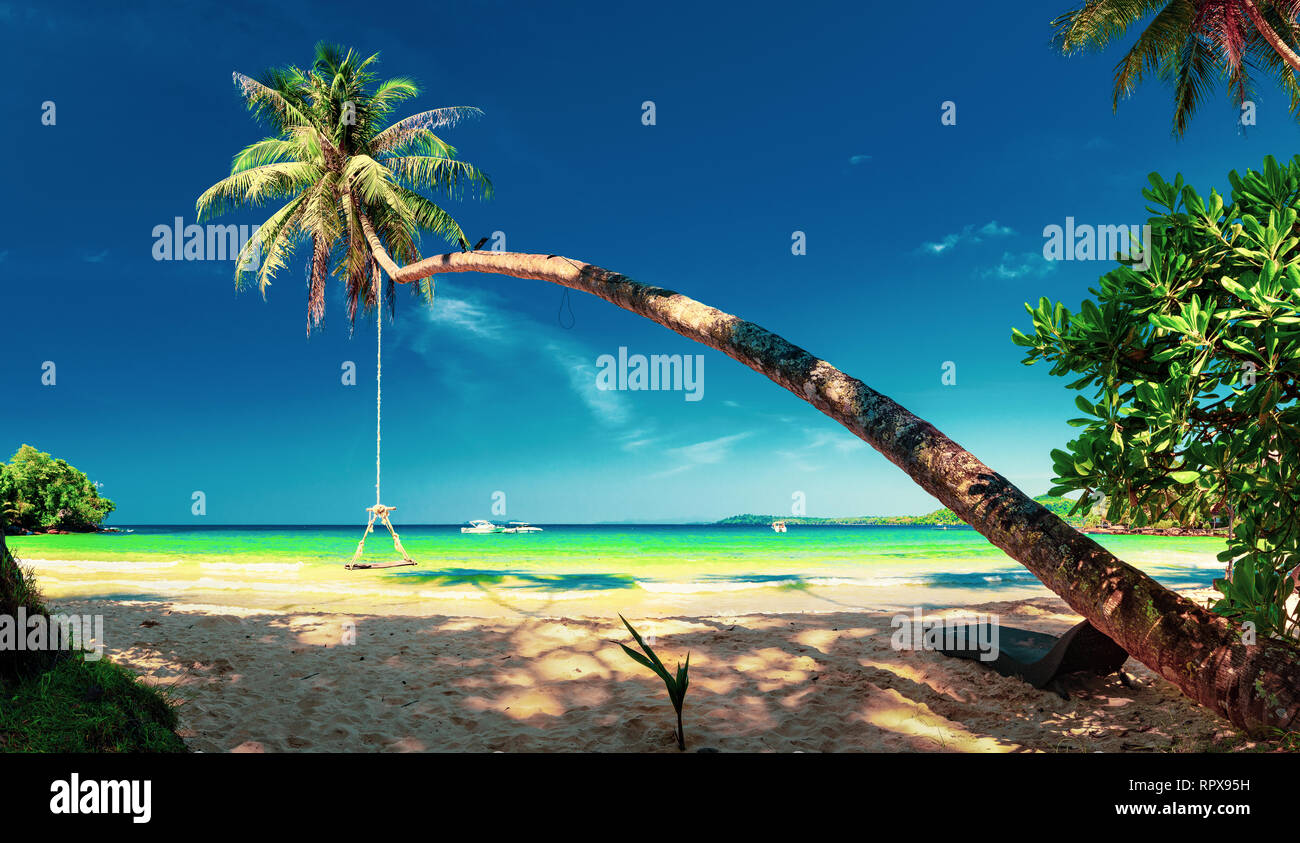 La natura del paesaggio spiaggia tropicale con paesaggio di palme da cocco tree e cristalline acque del mare sullo sfondo azzurro del cielo Foto Stock