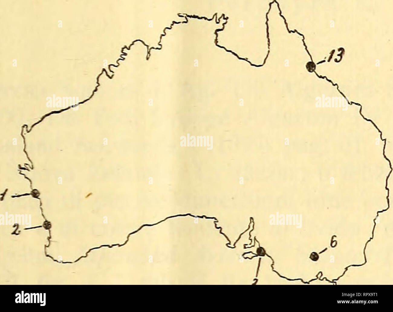 . Alghe di Australia, in Tasmania e Nuova Zelanda raccolte dal rev. dott. Giuseppe Capra nel 1908-1909. Alghe; Alghe; Alghe. ALGHE DI AUSTRALIA, in TASMANIA E NUOVA ZELANDA II Il materiale di cui forma oggetto la nostra memoria proviene dalle località seguenti: 1. Avon Ri ver, Australia occidentale; 2. La baia di Geroldton, id. ; 3. Victor Harbor, Australia meridionale ; 4. Porto di Adelaide, id. ; 5. Daylesford, Victoria ; 6. Il barone River, N. Queensland ; 7. Burmie, Tasmania ; 8. La baia di la- trobe, id. ; 9. Hobart, id. ; 10. Deloraine, id. ; 11. Fiume Tamar, id. ; 12. Bluff, Nuova Zelanda ; 13. Lyttle Foto Stock