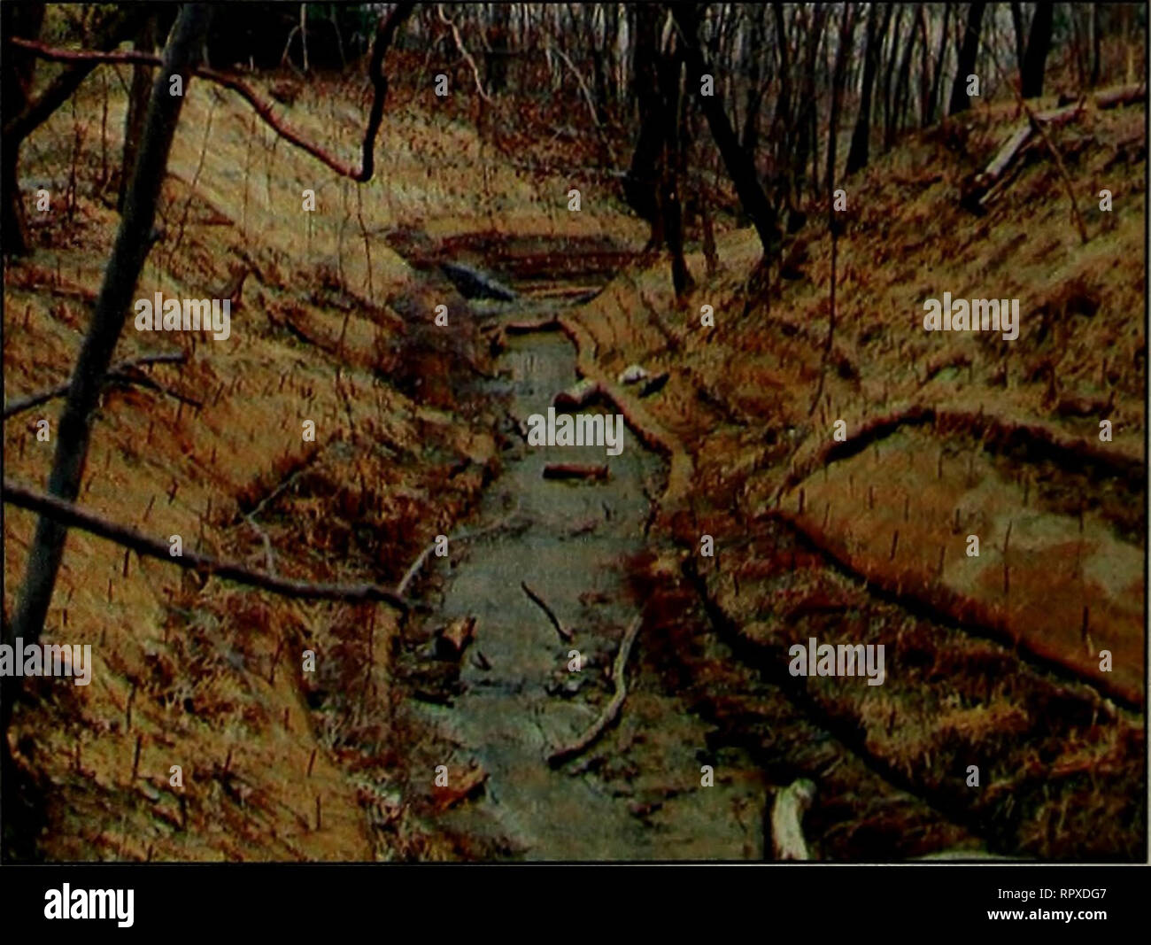 . Prenotazione Alewife &AMP; Alewife Brook master plan. Le zone umide; conservazione delle paludi e condizioni idrauliche erano gravi, quindi sono molti i miglioramenti elencati di seguito devono essere considerate come azioni a lungo termine, potenzialmente richiedere più ampi studi, modellazione e chiudere la valutazione per quanto riguarda la loro feasibil- ità. Alcuni studi sono attualmente in corso, come ad esempio il MDC Mystic River idrologico e Hy- draulic Studio. Raccomandato idrologico e idraulico di im- provements sono come segue: 1. Proiettore di aumento volume di storage attraverso dragaggio di stagni e streaming di CHAN- NEL. Questa azione deve essere strettamente Foto Stock