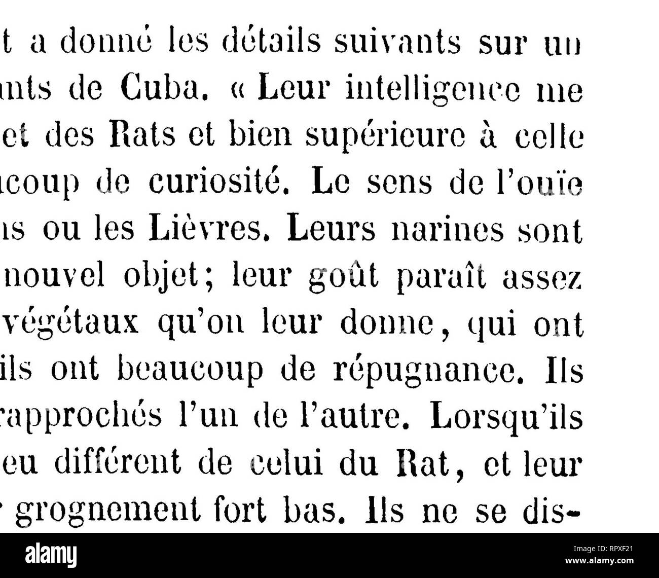 . Histoire Naturelle des mammifères, avec l'indicazione de leurs moeurs et de leurs rapports avec les arts, le commerce et l'agricoltura;. Mammiferi. 3-10 OlIDlïK DES IïONGKI'US. longues parti de jeu en se louant debout à la manière des kangurous, appuyés solidement sur les ampia plantes de leurs pieds et sur la base; de leur coda, et en se poussant avec les mains jusqu'à ce que l'ONU d'eux, trouvant onu mur ou onu meuble pour s'appuyer, reprenne de la force et regagne l'avantage. Ils ne se mordent jamais. Ils ont beaucoup d'indifférence pour les autres Animaux et ne font même aucune attenzione Foto Stock