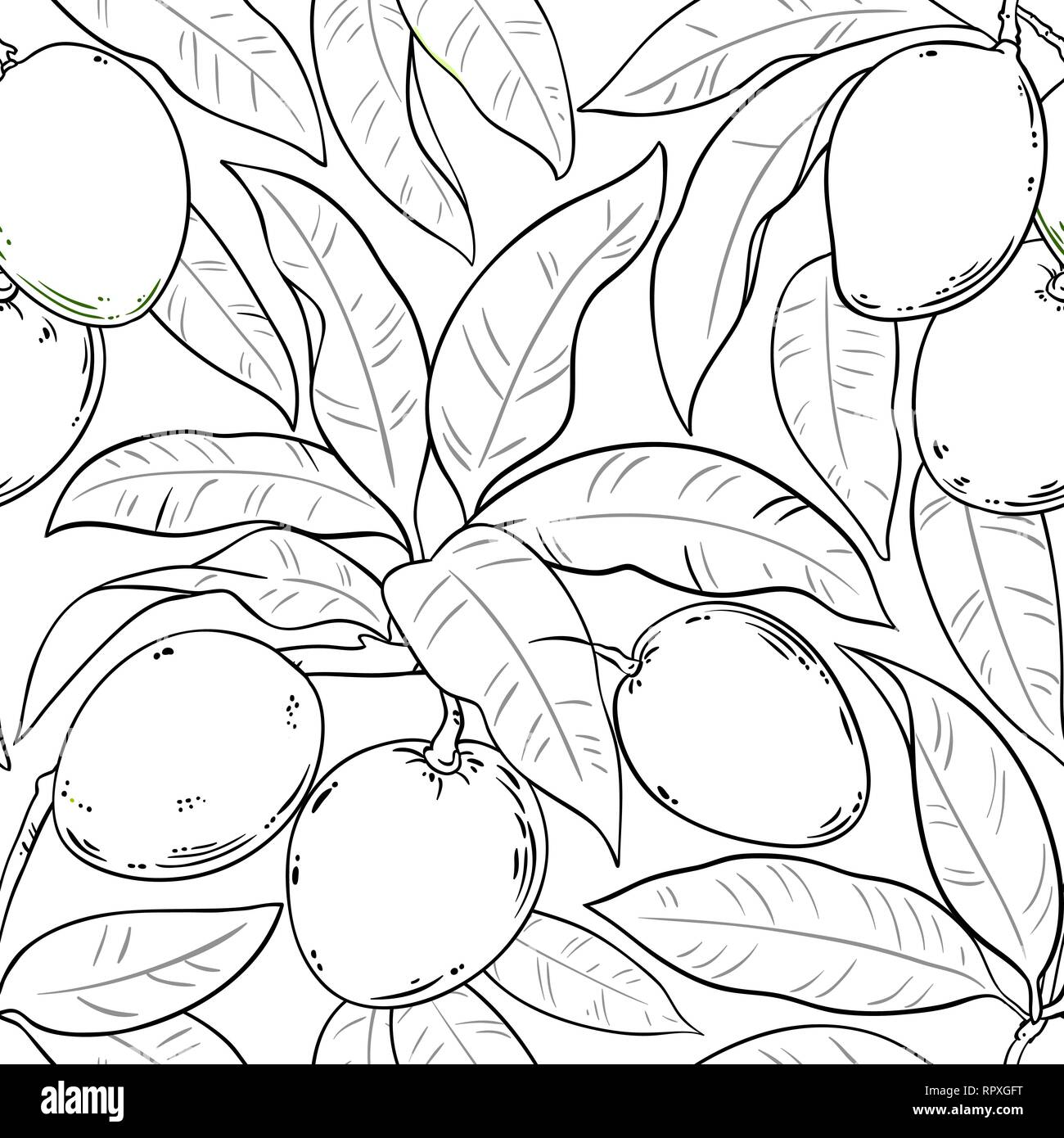 Vettore di mango pattern su sfondo bianco Illustrazione Vettoriale