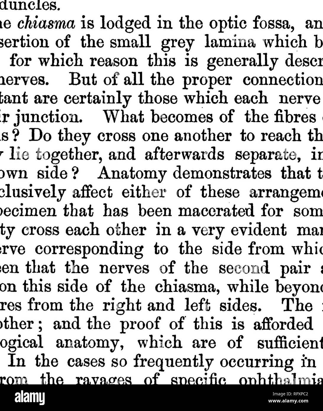 . La anatomia comparata degli animali domestici. Anatomia Veterinaria. 708 i nervi. Per quanto riguarda la sua ermination, il nervo ottico entra nel globo dell'occhio forando il sclerotiche e coroide cappotti, verso la maggior parte de- clivitous parte della sua superficie posteriore, e nella forma di una membrana che è descritto nella apparecchiatura della visione come la retina. Prima dell'attraversamento del fondo dell'occhio, questo nervo diventa sempre fortemente parzializzato. Lo studio della struttura del nervo ottico rivela alcuni fatti peculiare che è bene sapere, anche se essi sono più curioso di in- teresting Foto Stock . La anatomia comparata degli animali domestici. Anatomia Veterinaria. 708 i nervi. Per quanto riguarda la sua ermination, il nervo ottico entra nel globo dell'occhio forando il sclerotiche e coroide cappotti, verso la maggior parte de- clivitous parte della sua superficie posteriore, e nella forma di una membrana che è descritto nella apparecchiatura della visione come la retina. Prima dell'attraversamento del fondo dell'occhio, questo nervo diventa sempre fortemente parzializzato. Lo studio della struttura del nervo ottico rivela alcuni fatti peculiare che è bene sapere, anche se essi sono più curioso di in- teresting Foto Stock