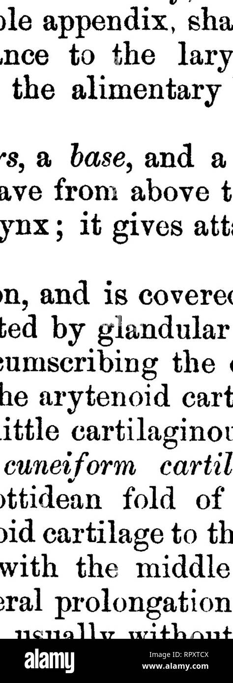. La anatomia comparata degli animali domestici. Anatomia Veterinaria. Faccia superiore. Faccia inferiore. Pezzi CARTILAGINEI DELLA LARINGE, mantenute nella loro posizione naturale dai legamenti articolari. a, Cricoid cartilagine; 6, &AMP;, cartilagini Arytenoid ; c, il corpo della tiroide ; c', g piastre laterali della tiroide; c?, epiglottide; e, Corpo del hyoid.; /, Trachea.-1, Crico-articolazione arytenoid; 2, la capsula di crico-articolazione della tiroide; 3, Crico-membrana della tiroide; 4, Thyro-hyoid membrana; 5, Crico-trachealis legamento. B. La cartilagine della tiroide articola con la cricoid da due sma Foto Stock
