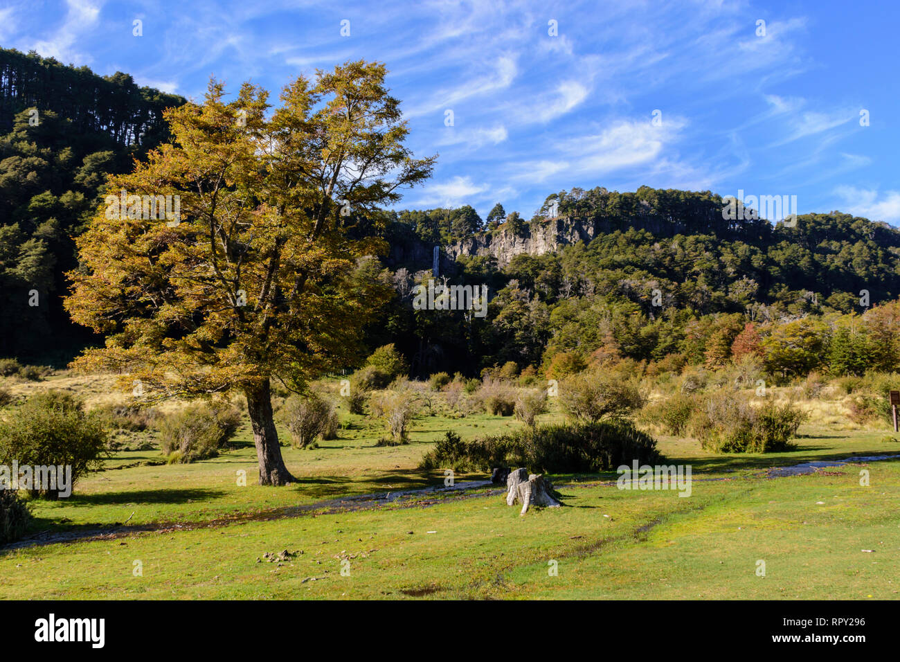 Montagne delle Ande scena in Lanin National Park, Patagonia, Argentina Foto Stock