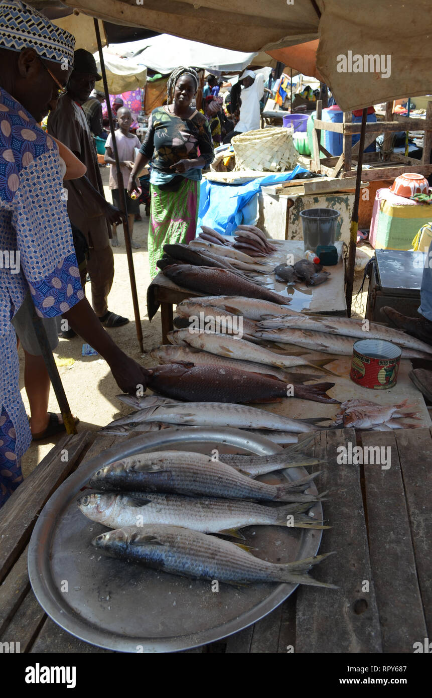 Affollato mercato del pesce di Mbour, Senegal, un commercio regionale mozzo Foto Stock