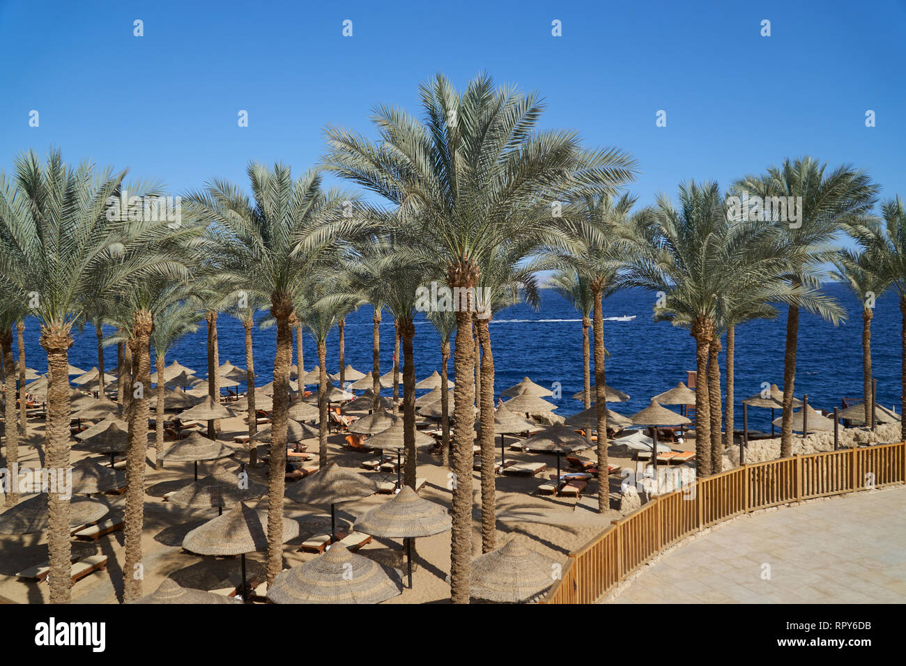 Estate sdraio sotto un ombrello di sabbia sul mare spiaggia e palme in hotel Egitto Sharm el Sheikh, il concetto di tempo per viaggiare Foto Stock