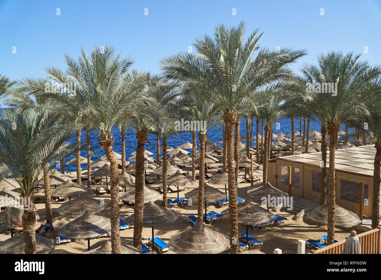 Estate sdraio sotto un ombrello di sabbia sul mare spiaggia e palme in hotel Egitto Sharm el Sheikh, il concetto di tempo per viaggiare Foto Stock