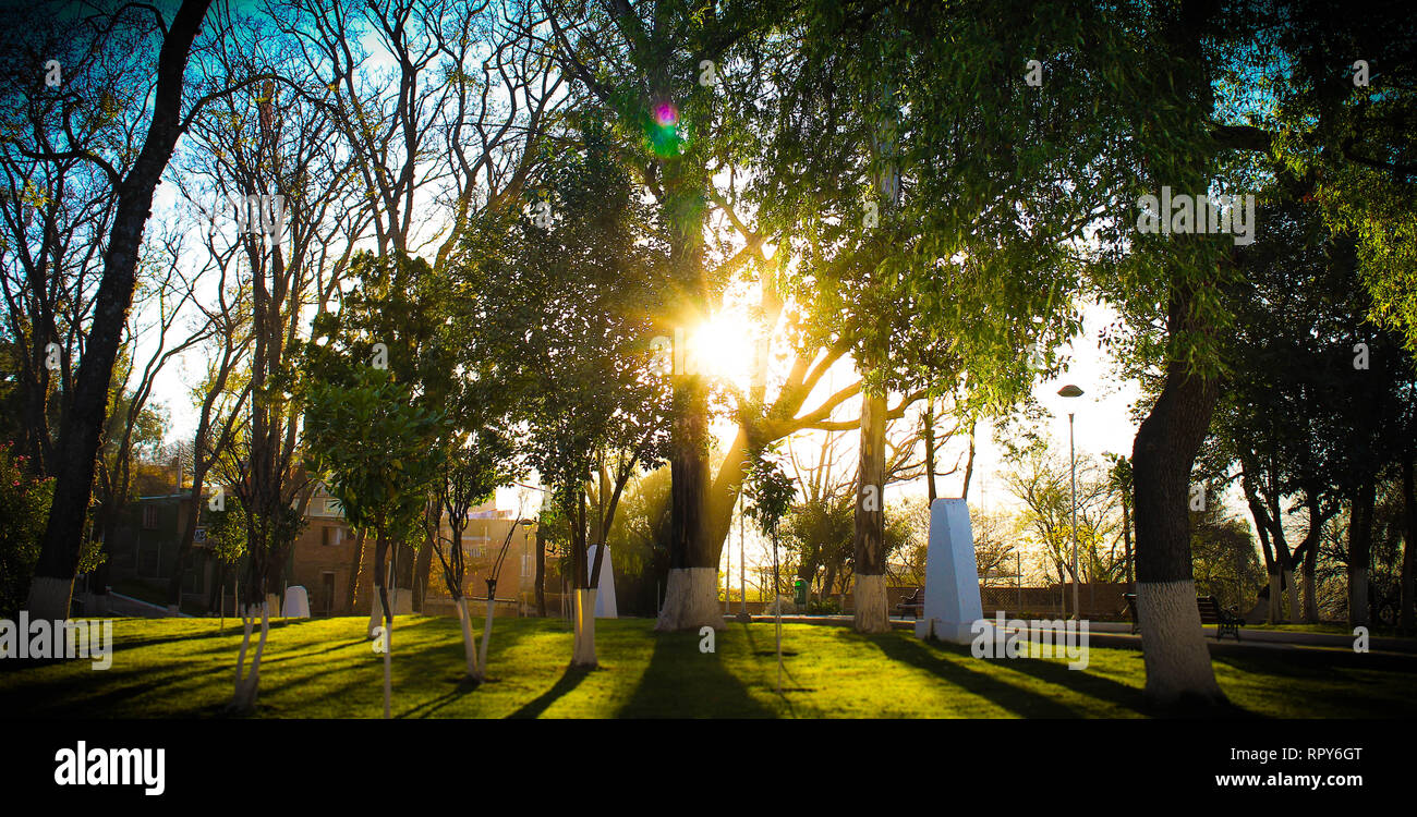 atardecer ocaso Foto Stock