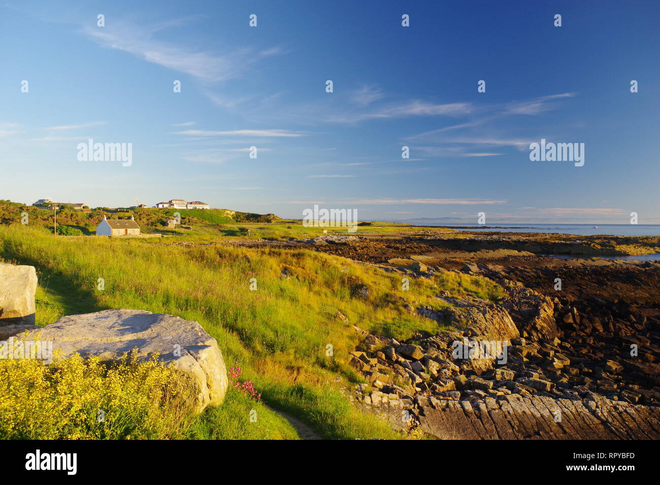 Crail Società Golf Campo da golf su un estati soleggiate mattina. Fife Ness, Fife, Scozia, Regno Unito. Foto Stock