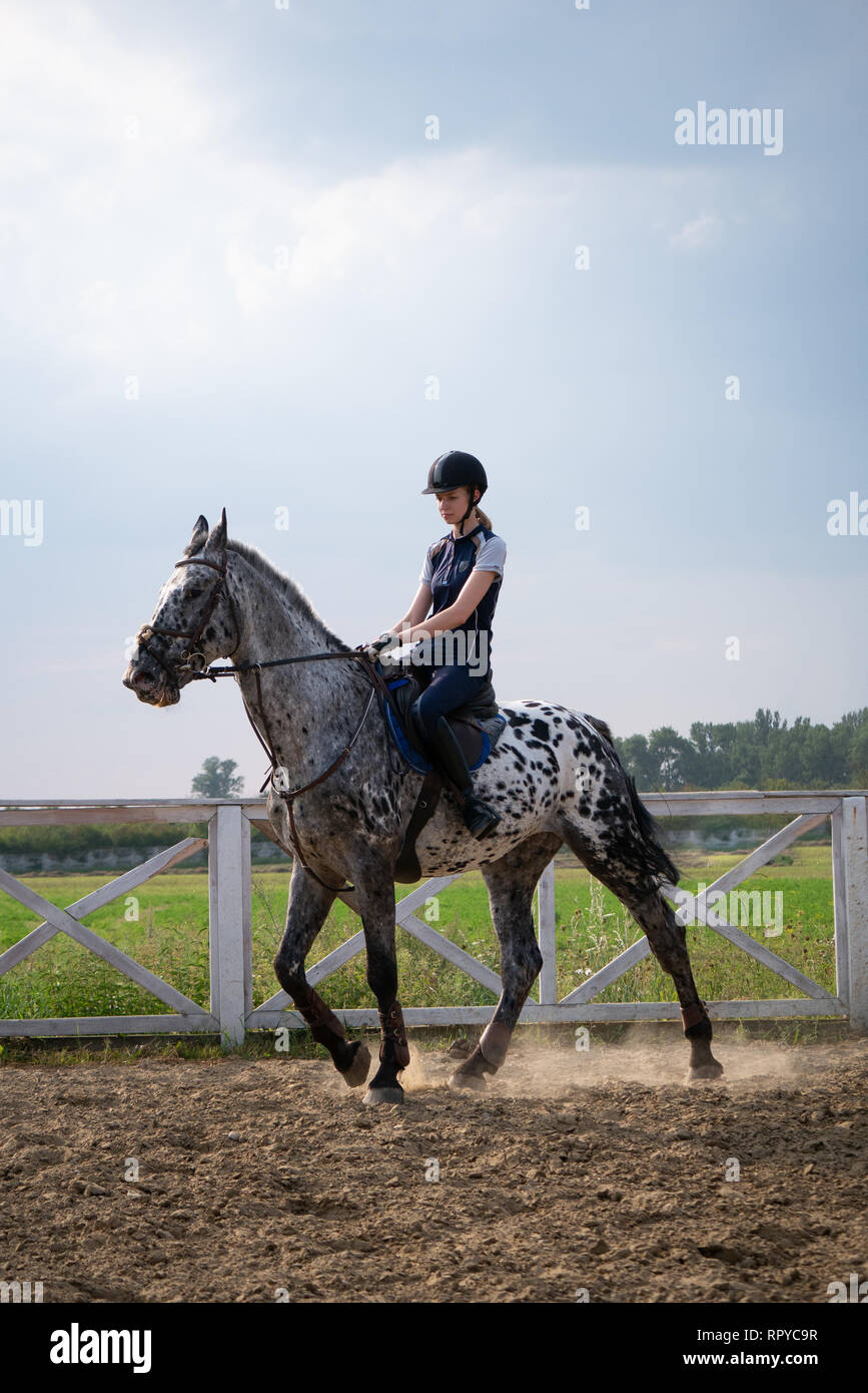 Bellissima giovane fantino femmina su un cavallo all'esterno. Atleta femminile passeggiate a cavallo il maneggio aperto Foto Stock