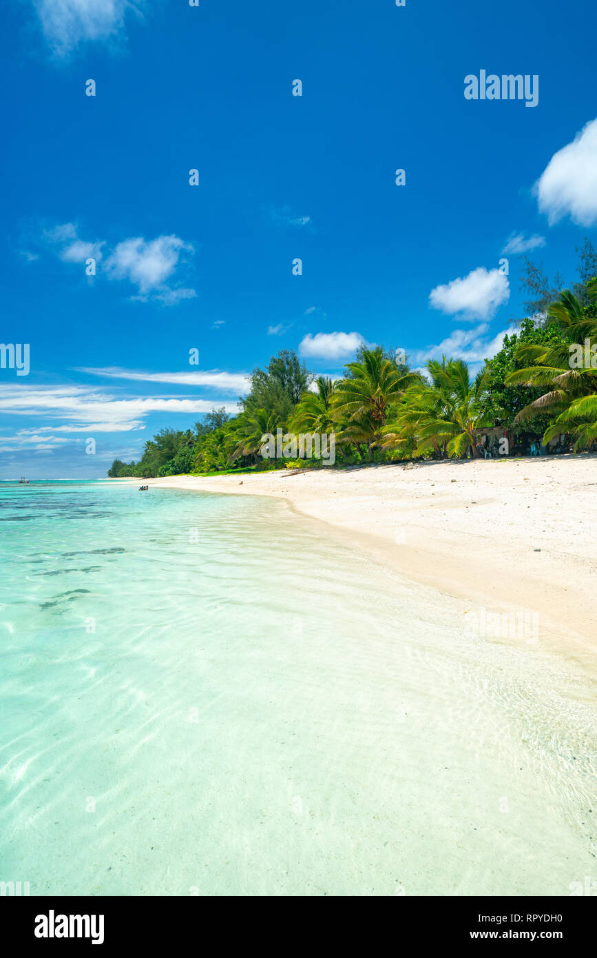 Una spiaggia idilliaca con palme di Rarotonga nelle Isole Cook Foto Stock