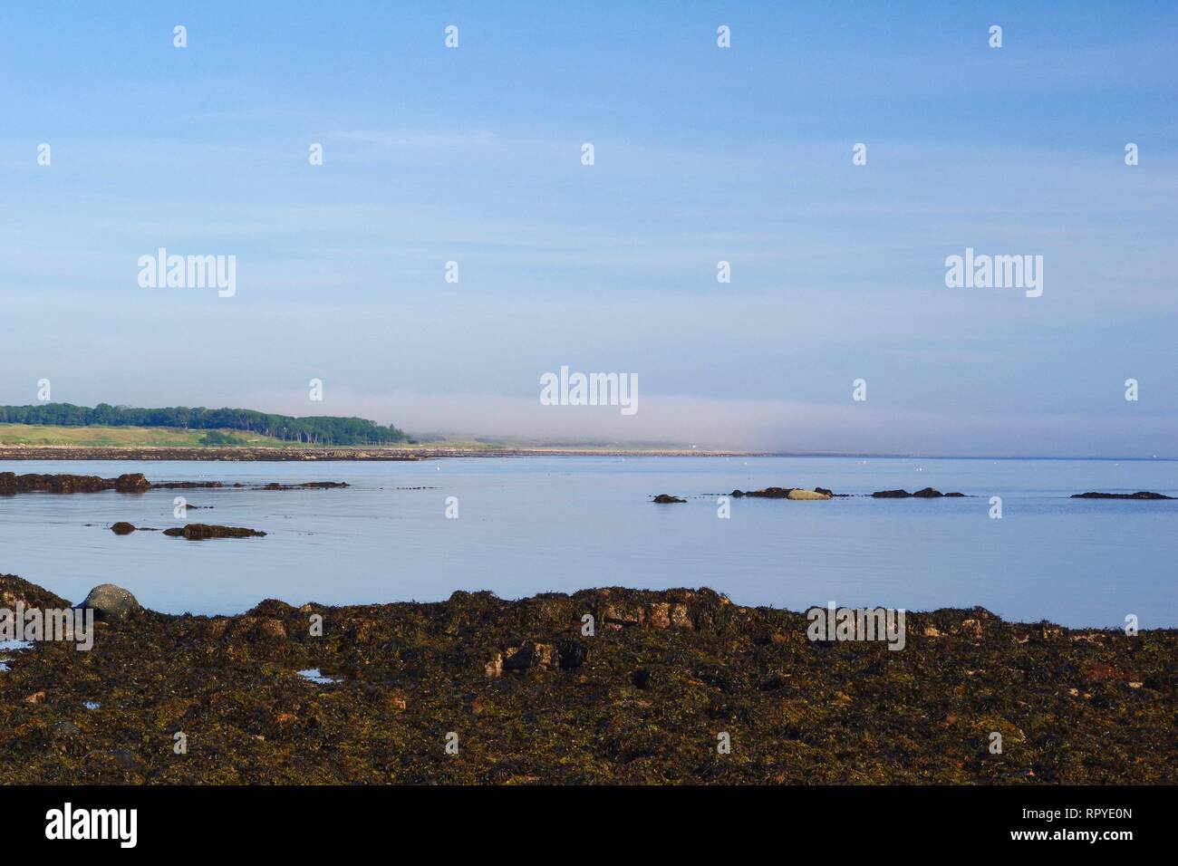 Mare di nebbia in rotolamento fuori del Mare Northn verso St Andrew è su una giornata d'estate dalla costa selvaggia da Kingsbarn, Fife, Scozia, Regno Unito. Foto Stock