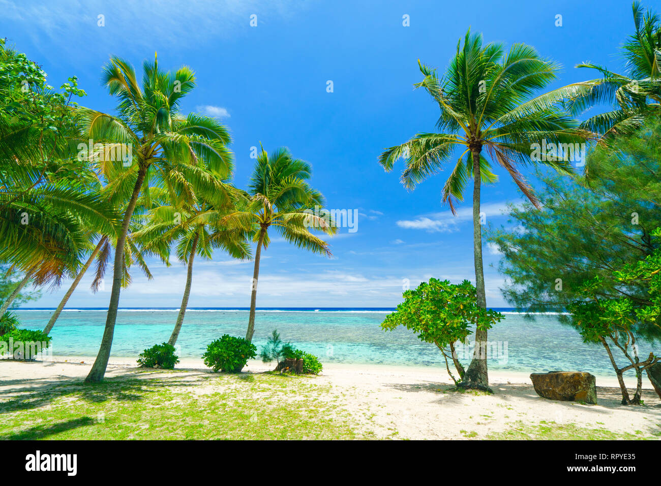 Una spiaggia idilliaca con palme di Rarotonga nelle Isole Cook Foto Stock