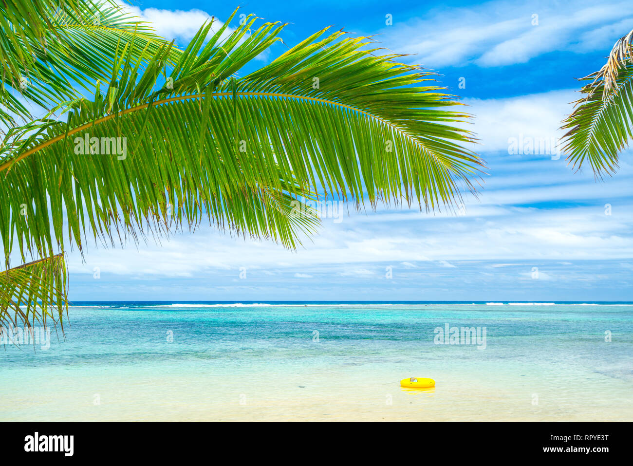 Una spiaggia idilliaca con palme di Rarotonga nelle Isole Cook Foto Stock