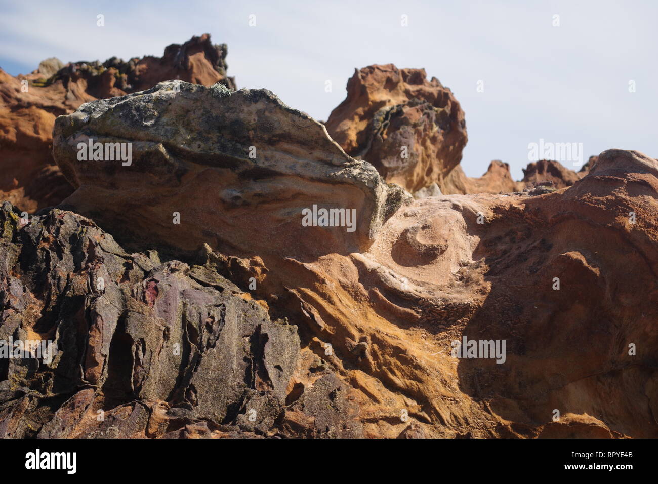 Esposte in arenaria carbonifero Geologia lungo la costa di Fife. La Scozia, Regno Unito. Foto Stock