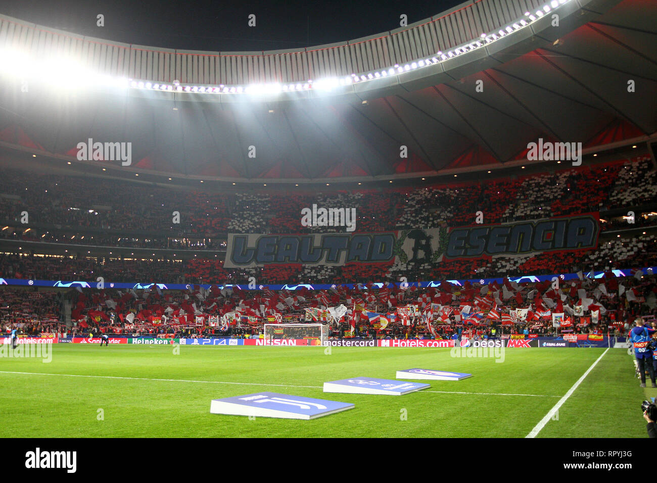 Madrid, Spagna. Xx Febbraio 2019. Calcio, Champions League 2018-19 atletico madrid - JUVENTUS 2-0 nell'immagine: Atletico Madrid tifosi Credit: Indipendente Agenzia fotografica/Alamy Live News Foto Stock