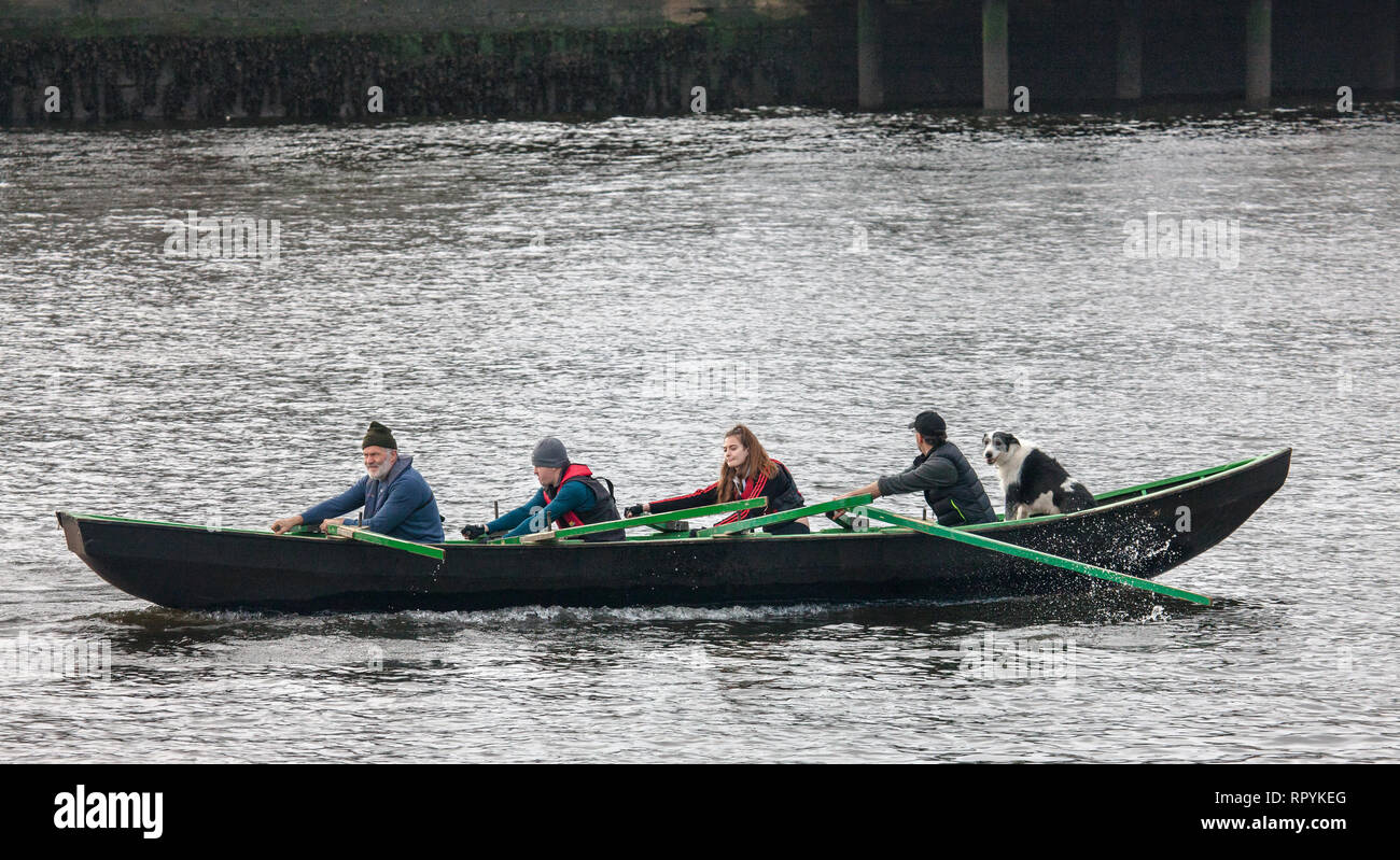 La città di Cork, Cork, Irlanda. Il 23 febbraio, 2019. I membri di Naomhóga Chorcaí accompagnati dal loro cane fila un nativo Currach irlandese da Ovest dell Irlanda sul fiume Lee nella città di Cork, Irlanda. Credito: David Creedon/Alamy Live News Foto Stock