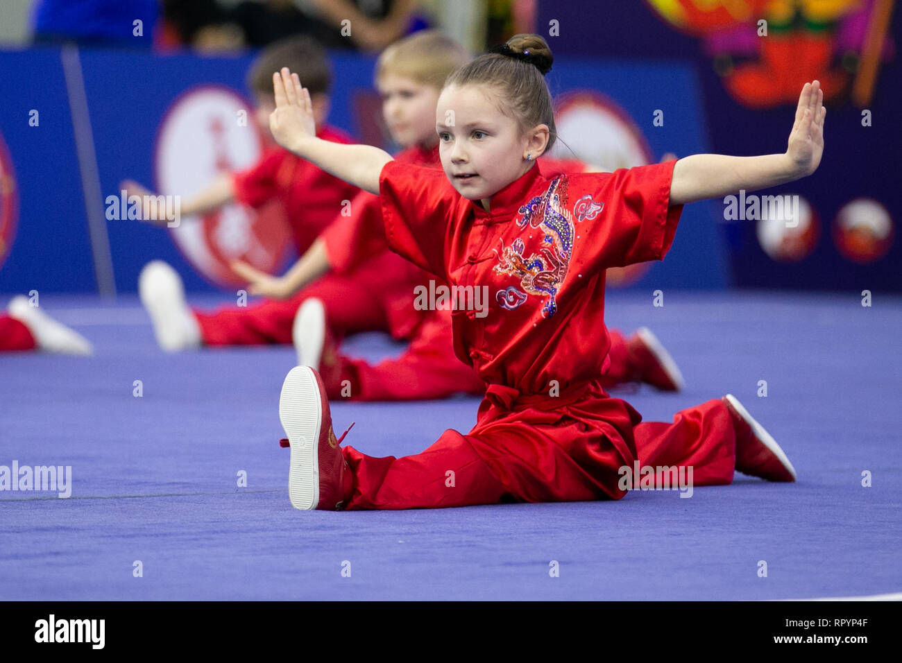 Mosca, Russia. Il 23 febbraio, 2019. I concorrenti di eseguire durante la cerimonia di apertura per la mosca Wushu stelle 2019 concorrenza a Mosca, in Russia, nel febbraio 23, 2019. Credito: Bai Xueqi/Xinhua/Alamy Live News Foto Stock