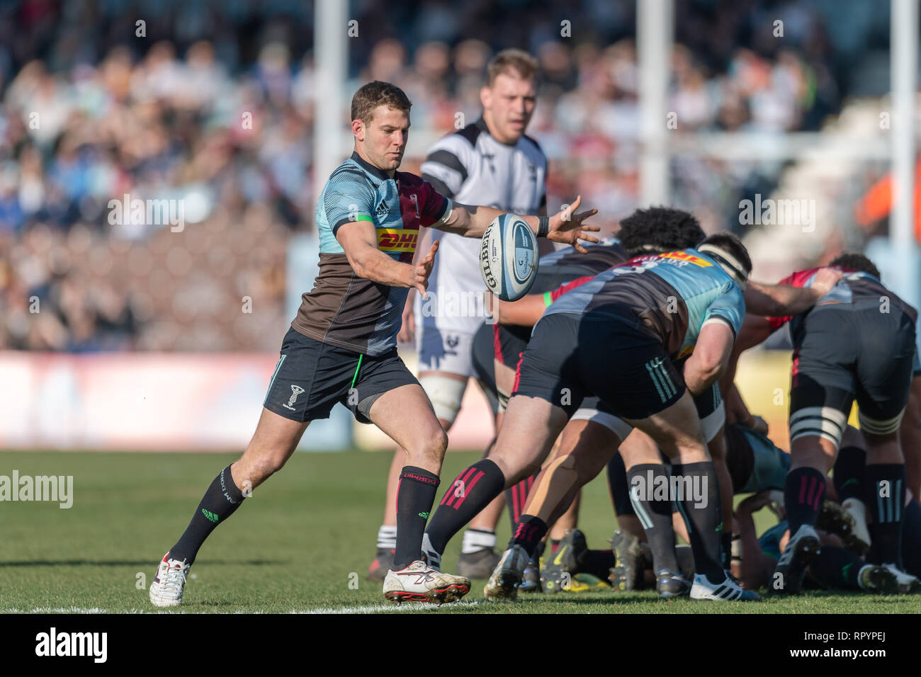 Twickenham, Londra, Regno Unito. Il 23 febbraio, 2019. Charlie Mulchrone di arlecchini in azione durante la Premiership Gallagher match tra arlecchini e Bristol porta a Twickenham Stoop Sabato, 23 febbraio 2019. Londra Inghilterra. (Solo uso editoriale, è richiesta una licenza per uso commerciale. Nessun uso in scommesse, giochi o un singolo giocatore/club/league pubblicazioni.) Credito: Taka G Wu/Alamy News Credito: Taka Wu/Alamy Live News Foto Stock