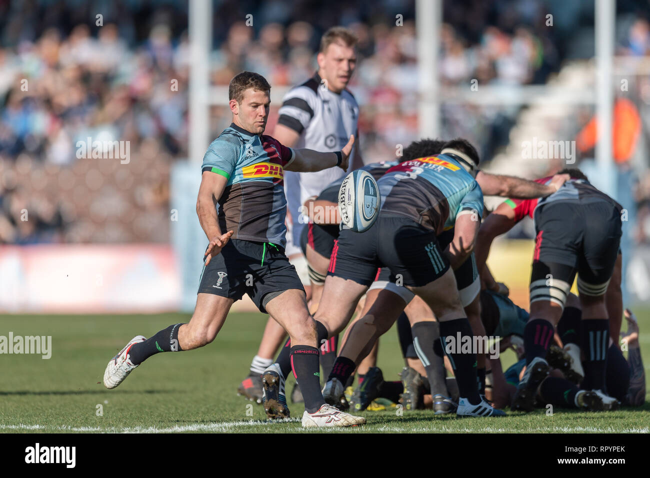 Twickenham, Londra, Regno Unito. Il 23 febbraio, 2019. Charlie Mulchrone di arlecchini in azione durante la Premiership Gallagher match tra arlecchini e Bristol porta a Twickenham Stoop Sabato, 23 febbraio 2019. Londra Inghilterra. (Solo uso editoriale, è richiesta una licenza per uso commerciale. Nessun uso in scommesse, giochi o un singolo giocatore/club/league pubblicazioni.) Credito: Taka G Wu/Alamy News Credito: Taka Wu/Alamy Live News Foto Stock