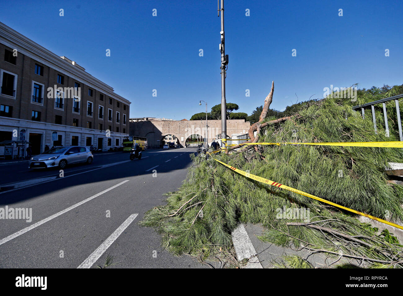 Foto Cecilia Fabiano - LaPresse 23-02-2019 Roma ( Italia ) Cronaca: albero caduto per il forte vento sul lungotevere Vaticano Foto Stock