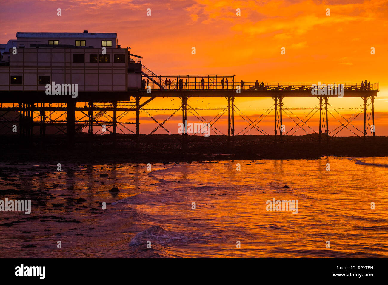 Aberystwyth Wales UK, sabato 23 febbraio 2019. Il sole di setting drammaticamente illumina il cielo sopra Aberystwyth pier su Cardigan Bay in Galles, scontornamento il popolo prendendo in luoghi e alcune decine di migliaia di storni che posatoio per la notte della foresta di ghisa gambe sotto il Vittoriano iconica molo sul mare. La west coast città è una delle poche aree urbane posatoi nel paese e attira gente da tutto il Regno Unito per testimoniare la spettacolare nightly visualizza tra ottobre e marzo. Photo credit Keith Morris / Alamy Live News Foto Stock